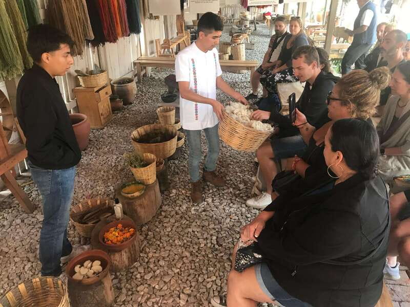 Oaxaca: El Tule tree, Teotitlan Village & Mezcal Tour - Timing, comfort, and mobility