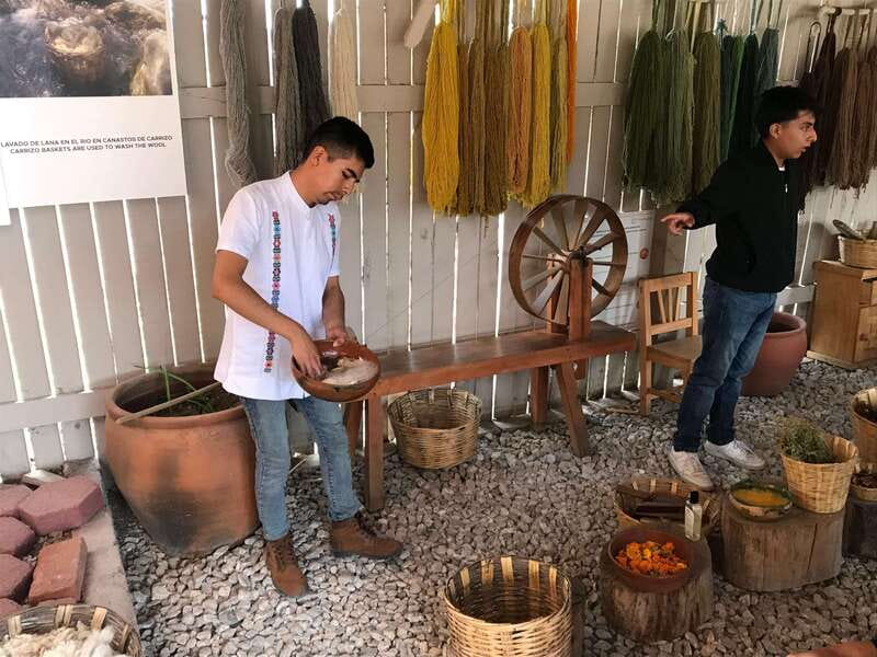 Oaxaca: El Tule tree, Teotitlan Village & Mezcal Tour - Who will enjoy this Oaxaca tour?