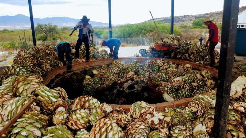 Oaxaca: Mezcal Adventure - Key points to know before booking