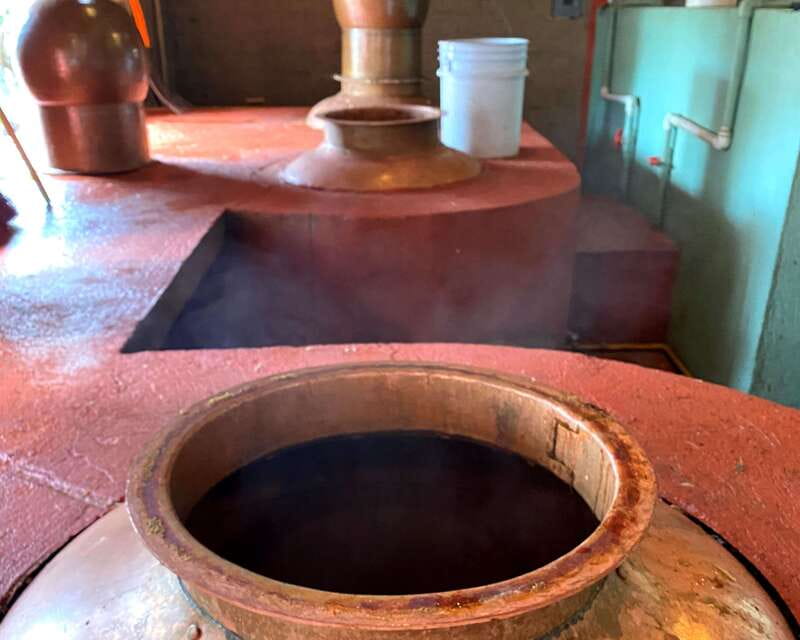 Oaxaca: Mezcal Adventure - Who should book this mezcal tour