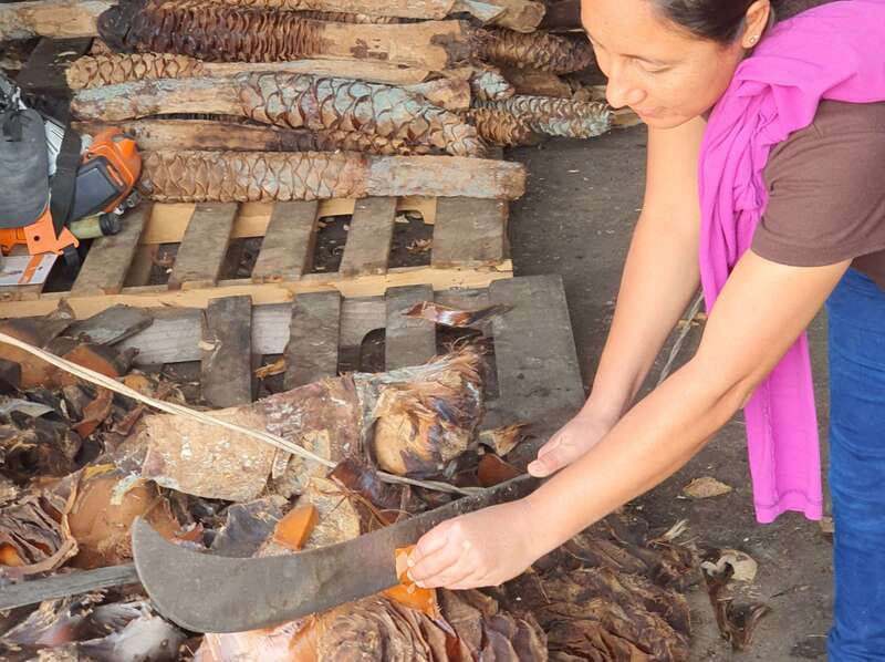 Oaxaca: Mezcal Adventure - Learning to taste mezcal without showing off