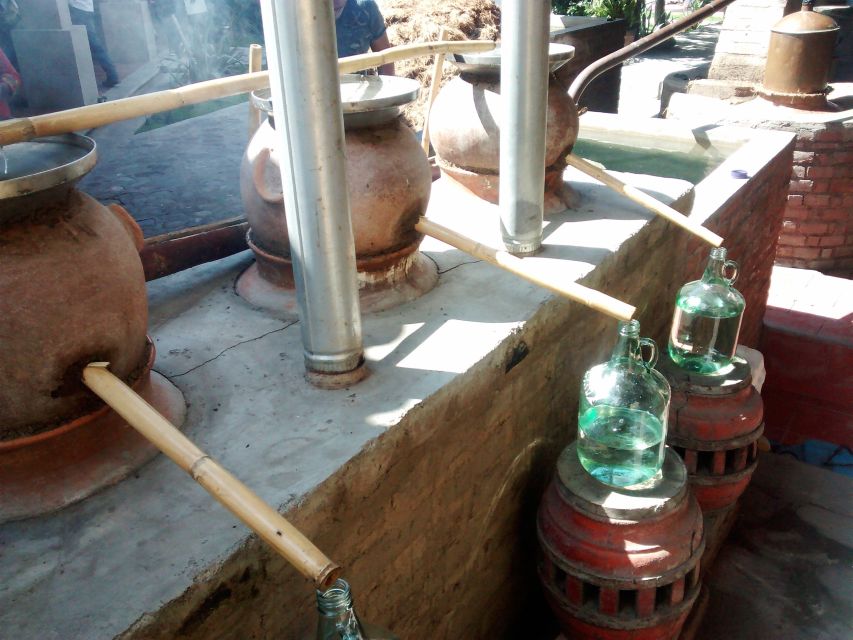Oaxaca: Mezcal Adventure - Guides, languages, and the shape of the day