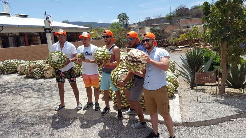 Oaxaca: Mezcal Adventure - Reading the agave fields in Santiago Matatlán