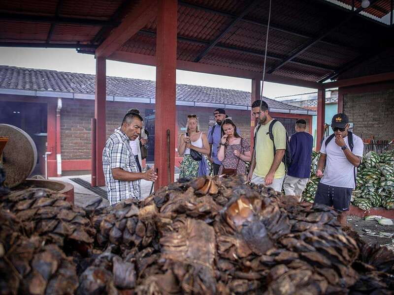 Oaxaca: Mezcal Distillery Tour with Tastings - Inside the family-owned palenques