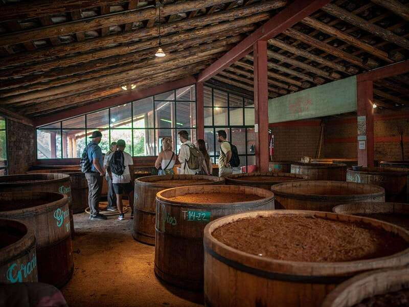 Oaxaca: Mezcal Distillery Tour with Tastings - What $134 includes, and what it does not