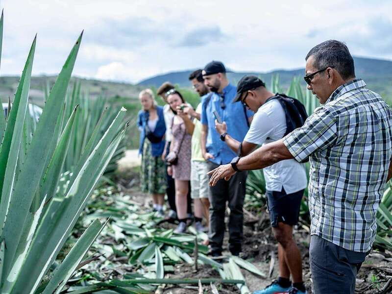 Oaxaca: Mezcal Distillery Tour with Tastings - Why Santiago Matatlán matters