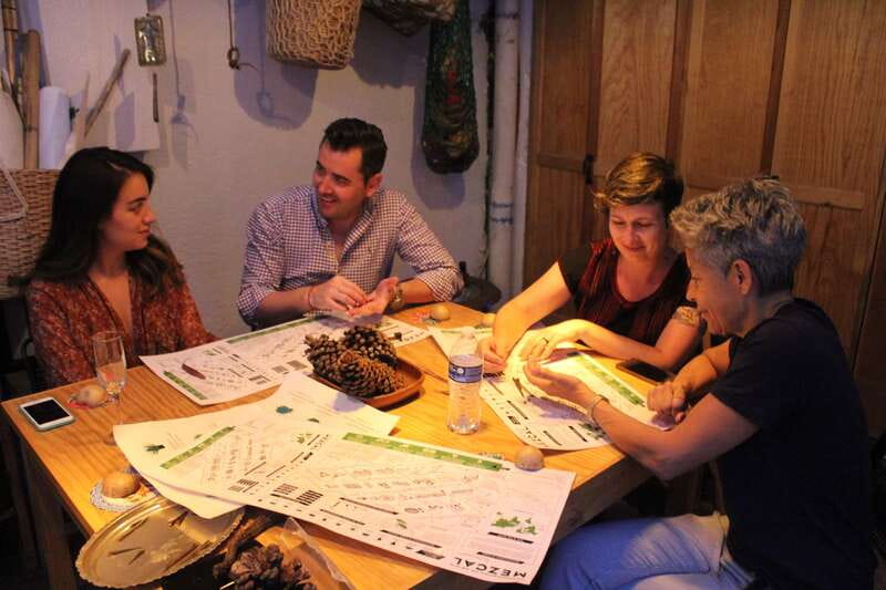 Oaxaca: Mezcal Tasting Session with Expert - Booking details that matter