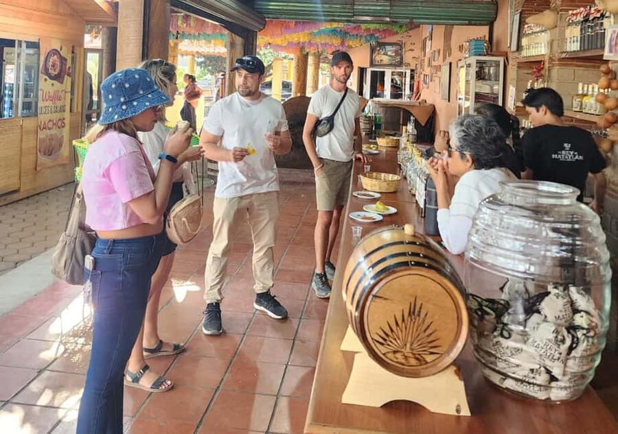 Oaxaca: Tule, Mitla & Hierve el Agua, & Mezcal Tour - What This Oaxaca Day Trip Actually Delivers