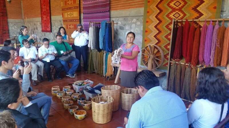 Oaxaca: Tule, Mitla & Hierve el Agua, & Mezcal Tour - Starting With the Tule Tree