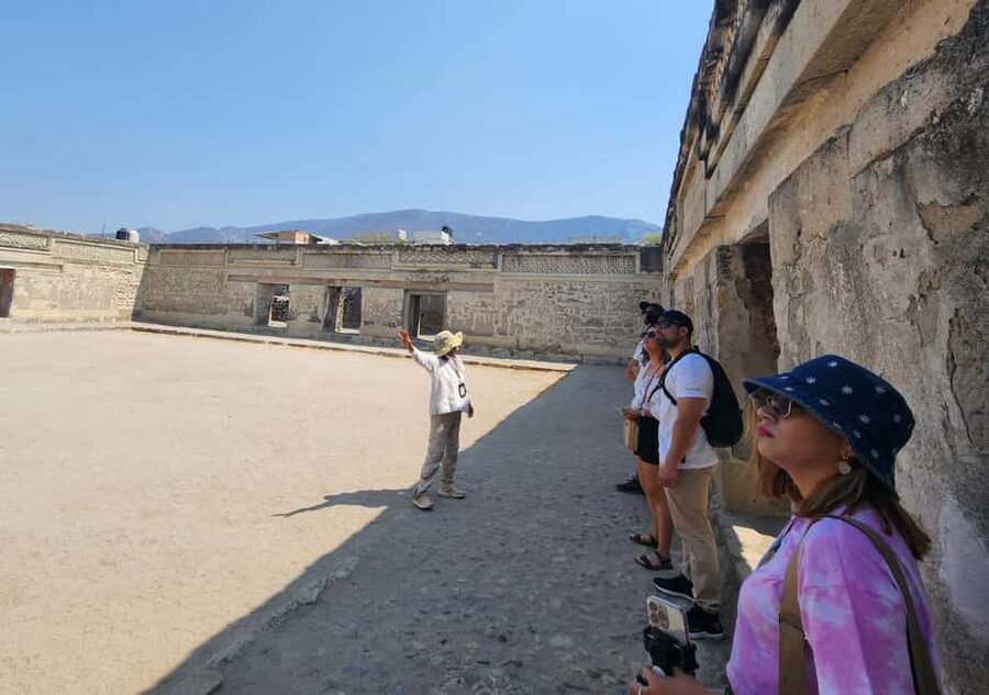Oaxaca: Tule, Mitla & Hierve el Agua, & Mezcal Tour - The Vehicle, Guide, and Long-Day Rhythm