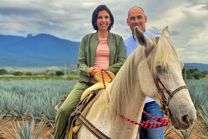 Premium Private Tequila Tour - Why this tour is more than a tequila tasting