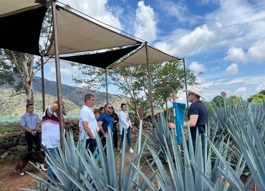 Premium Tequila Route with professional tasting - Key points at a glance