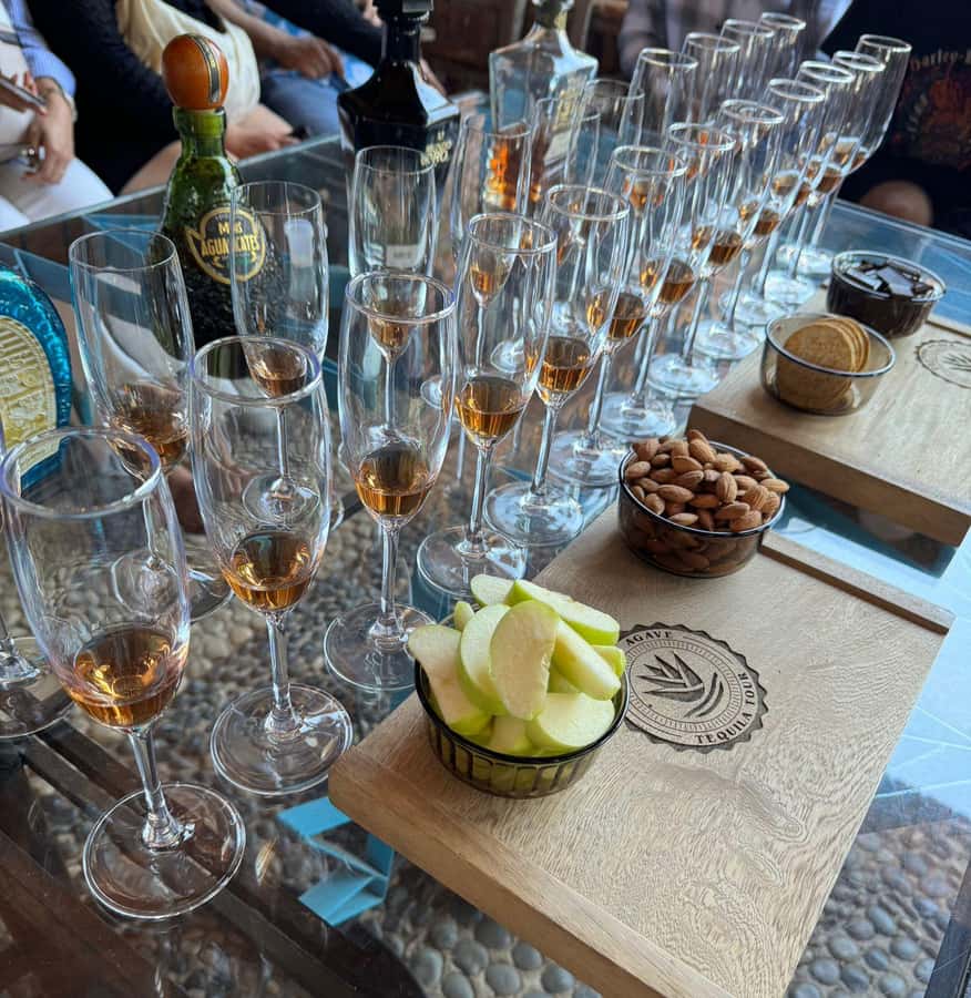 Premium Tequila Route with professional tasting - The second Amatitán stop and the Tequila volcano view