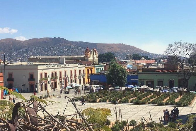 Private Oaxaca Walking Tour with Mezcal Tasting - What this Oaxaca walk is really designed to do