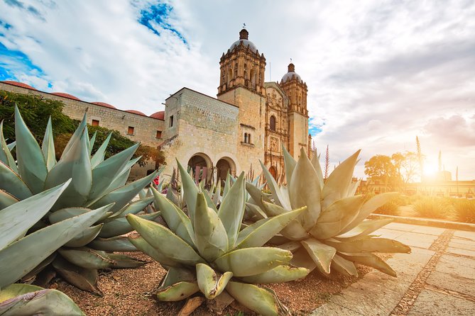 Private Oaxaca Walking Tour with Mezcal Tasting - MACO and the city’s modern artistic side
