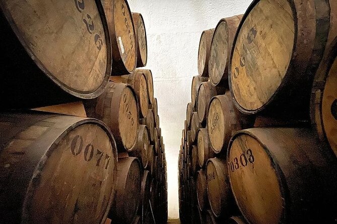 Private One Day Adventure Tour in Tequila and La Fortaleza Distillery - Who should book this tequila day?