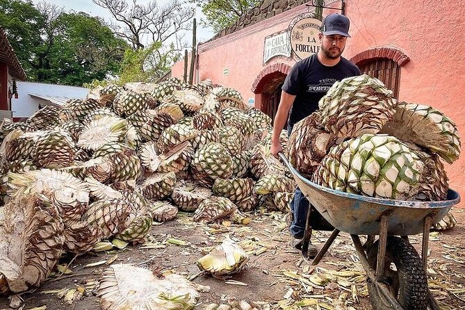 Private One Day Adventure Tour in Tequila and La Fortaleza Distillery - Tequila Selecto de Amatitán and the first tasting