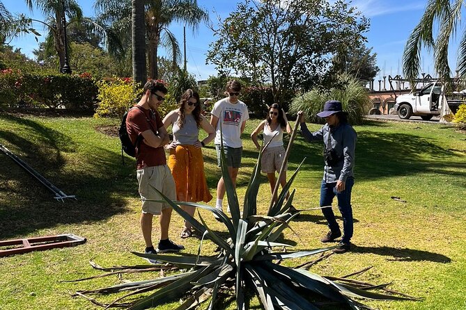 Private Tequila Tour with Local Expert - Casa Marengo and the family side of tequila