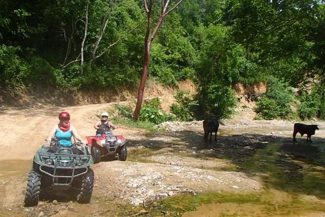 Private Tour: ATV SIERRA MADRE rivers with Tequila Tasting - Who should book this ATV tour?