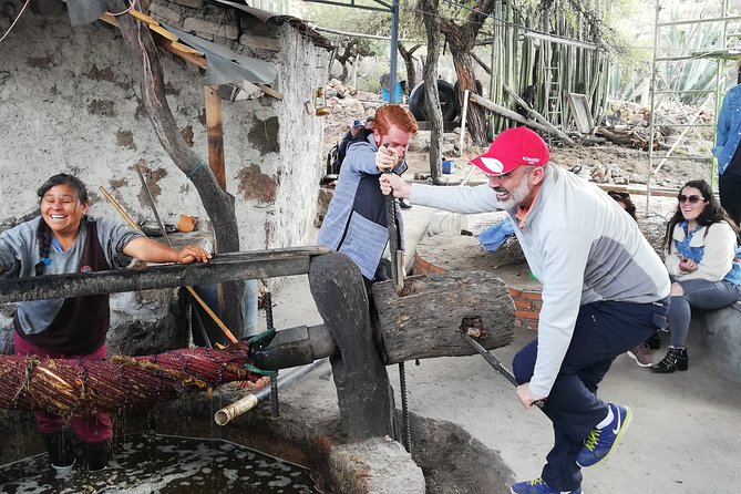 Private Tour of the Mezcal Route with Ancestral Drinks - Key points to know before booking