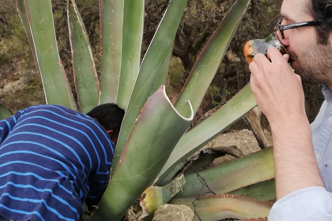Private Tour of the Mezcal Route with Ancestral Drinks - A tasting lesson for people who usually drink mezcal too fast