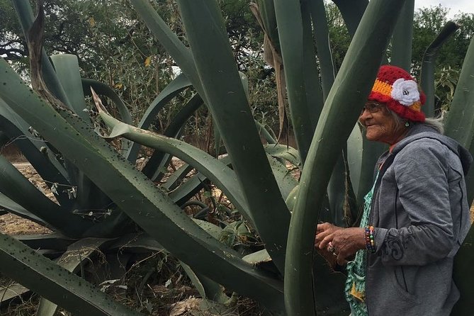 Private Tour of the Mezcal Route with Ancestral Drinks - Booking, cancellation, and a few practical tips