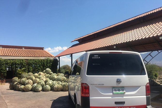 Private Tour to Hierve el Agua, Mezcal Tasting, and Textiles - Who should book this Oaxaca tour?