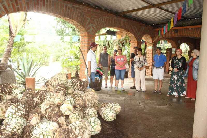 Puerto Vallarta: City Tour, Tequila and Coffee Factory Tour - A city tour that quickly turns into a tequila day