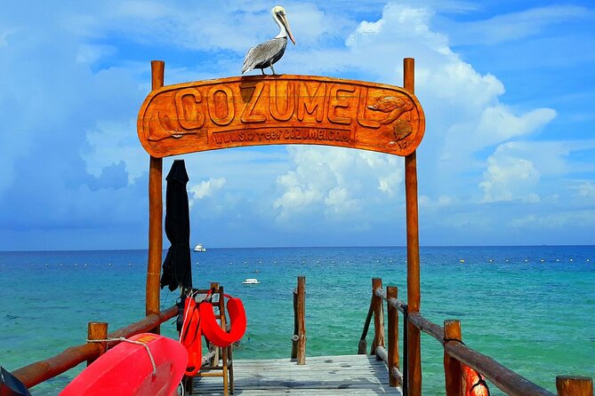 SkyReef Cozumel Snorkel & Tequila Tasting - Who will enjoy SkyReef most