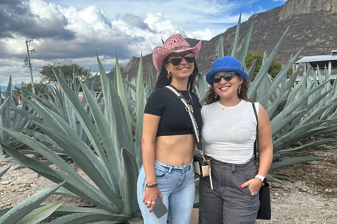 Small Group Boerve del Agua and Mezcal Tour from Oaxaca Centro - Mezcal in Santa María del Tule area
