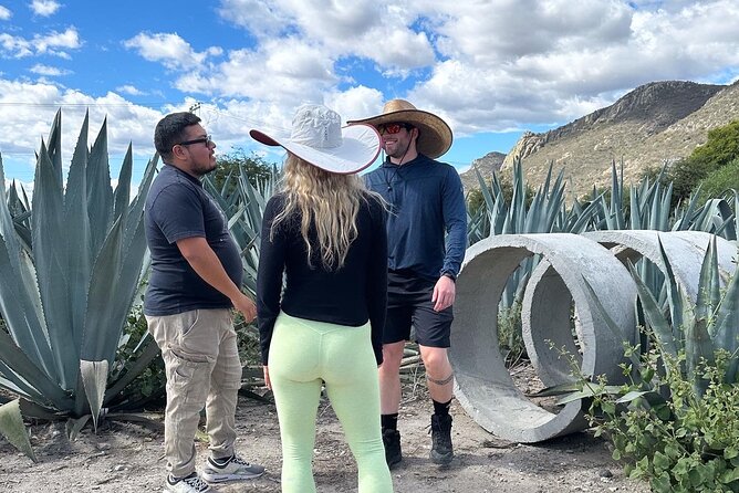 Small Group Boerve del Agua and Mezcal Tour from Oaxaca Centro - Who will get the most from this day