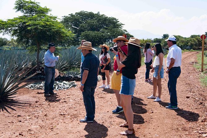 Tequila distillery experience, Jose Cuervo & Tequila Magic Town - Practical Tips for a Better Tequila Day