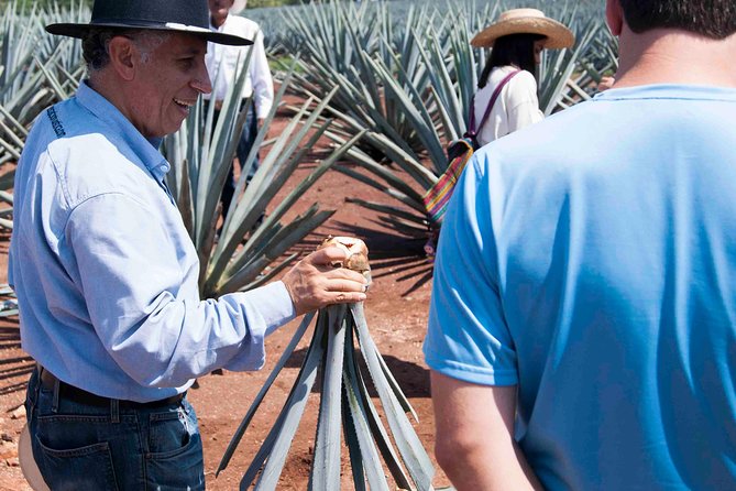 Tequila distillery experience, Jose Cuervo & Tequila Magic Town - Should You Book This Tequila Tour?
