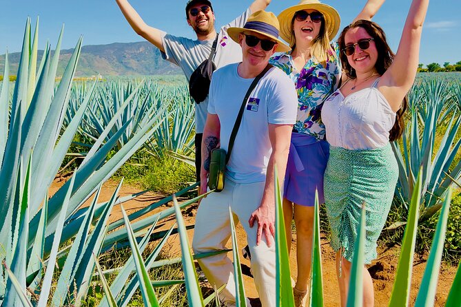 Tequila/Guachimontones Tour-cultural heritage route - Why this Guadalajara day trip works so well