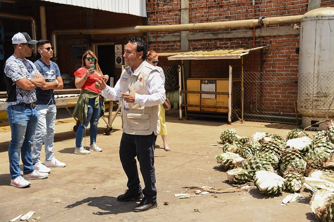 Tequila Route Experience from Guadalajara - El Arenal, the gateway to agave country
