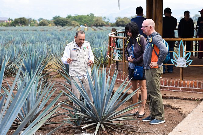 Tequila Route Experience from Guadalajara - Tequila town, from the main square to the market
