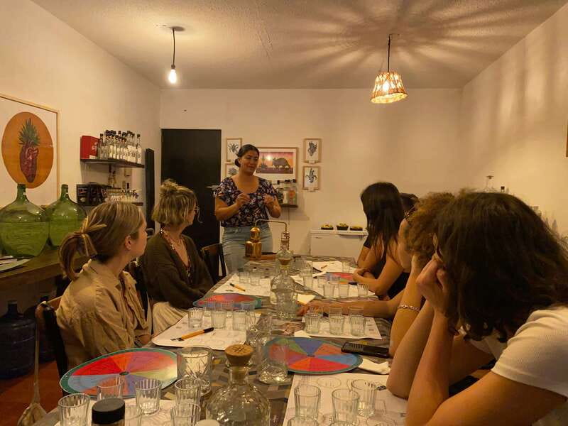 The Best Mezcal Tasting, Mezcal Tasting in Oaxaca - Is $40 a fair price?