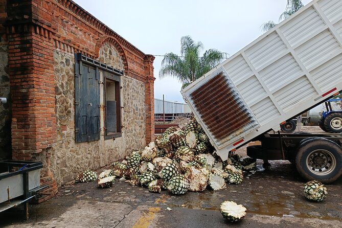 The Fire TOUR - Pyramids, Volcanoes, Agaves & Tequila - What the guides add to the day