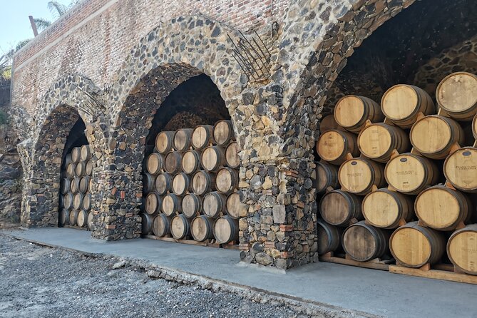 The Fire TOUR - Pyramids, Volcanoes, Agaves & Tequila - Is $89 a fair price?