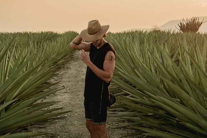 The Mezcal Journey - Key points about The Mezcal Journey
