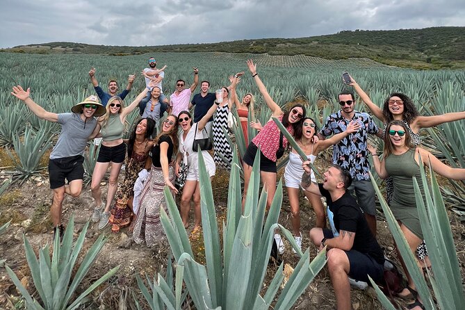 The Mezcal Journey - Walking through the agave fields at Campo Enigma