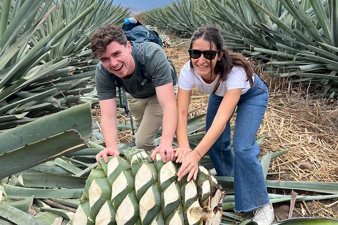 The Mezcal Journey - How the six-hour schedule feels