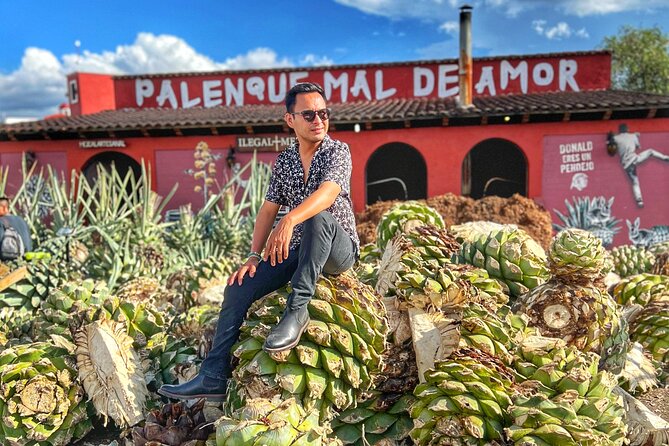 Tour Monte Albán, Hierve el agua, Teotitlán Del Valle and Mezcal - Who should book this Oaxaca day trip?