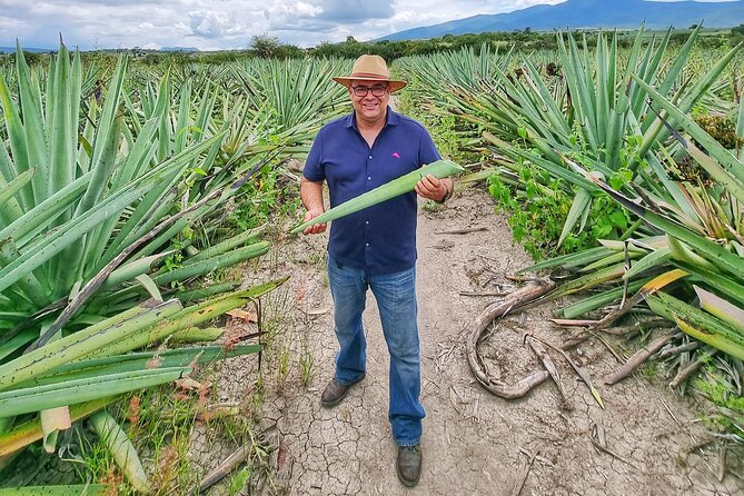 Tour Monte Albán, Hierve el agua, Teotitlán Del Valle and Mezcal - Should you book it?
