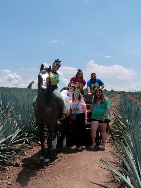 Tour Tequila Loreta Travel&Tour - What the small group and bilingual guide mean