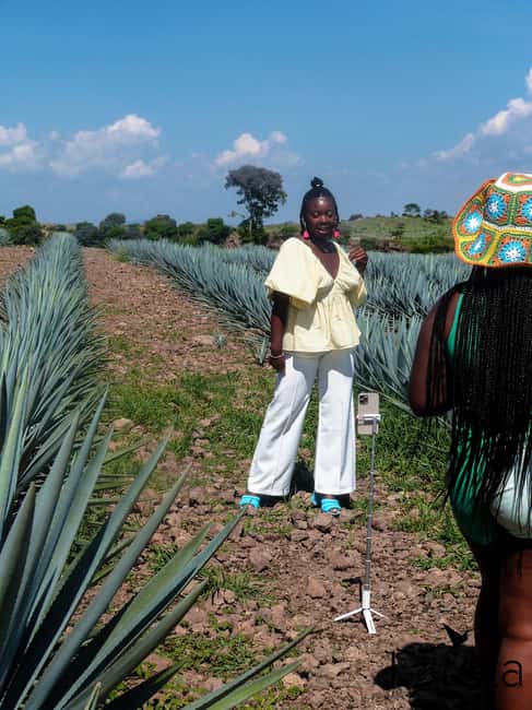 Tour Tequila Loreta Travel&Tour - Meeting in Guadalajara at 10:00 a.m.