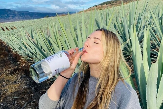 Tradicional Mezcal Experience in Oaxaca-Visit a Family Distillery - Key points at a glance