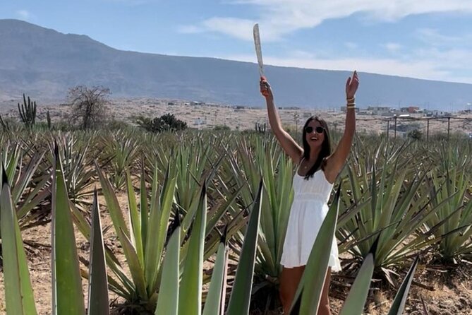 Tradicional Mezcal Experience in Oaxaca-Visit a Family Distillery - Why the trip to Mitla is worth your morning