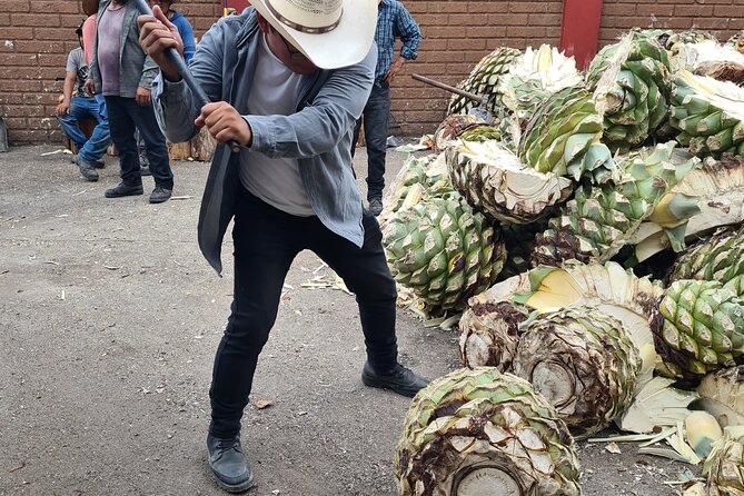 Tradicional Mezcal Experience in Oaxaca-Visit a Family Distillery - Oaxacan food after the tasting