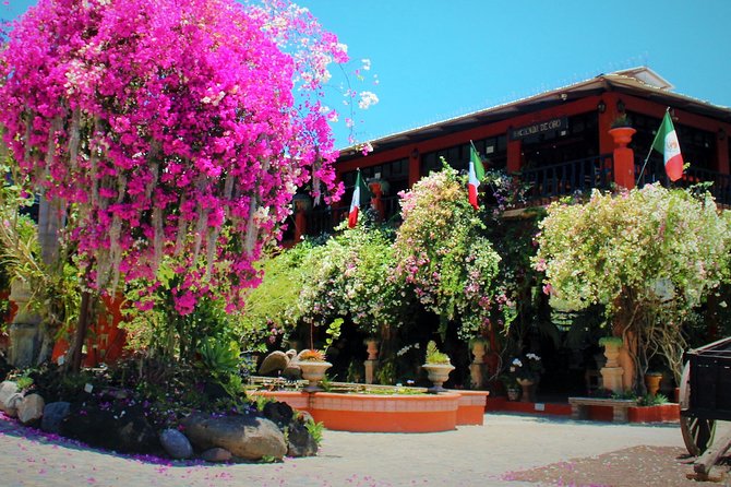 Vallarta Botanical Garden and Tequila Tasting from Puerto Vallarta - How the tequila visit adds value